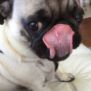 Meet your Posher, Veronica